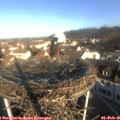 09_00-nest.jpg