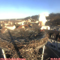 09_05-nest.jpg