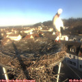 09_10-nest.jpg