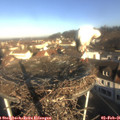 09_15-nest.jpg