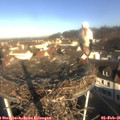 09_20-nest.jpg