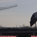 09_25-mast.jpg
