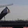 10_00-mast.jpg
