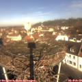 10_20-nest.jpg