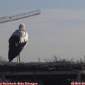 10_30-mast.jpg