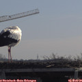 11_05-mast.jpg