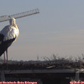 11_15-mast.jpg