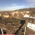 11_40-nest.jpg