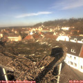 11_50-nest.jpg