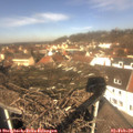 12_00-nest.jpg