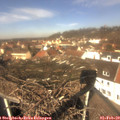 12_05-nest.jpg
