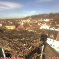 12_10-nest.jpg