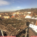 12_15-nest.jpg