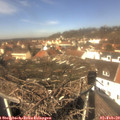12_20-nest.jpg