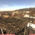 12_35-nest.jpg