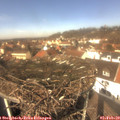 12_40-nest.jpg
