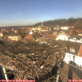 12_45-nest.jpg