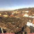 13_00-nest.jpg