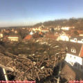 13_05-nest.jpg