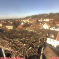 13_30-nest.jpg