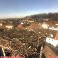 13_35-nest.jpg