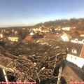 13_40-nest.jpg