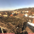 14_20-nest.jpg
