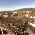 14_25-nest.jpg