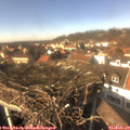 14_30-nest.jpg