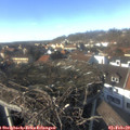 14_35-nest.jpg