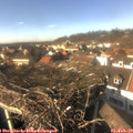 14_40-nest.jpg