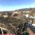 14_45-nest.jpg