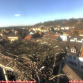 14_50-nest.jpg