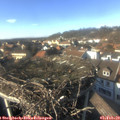 14_55-nest.jpg