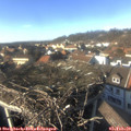 15_00-nest.jpg