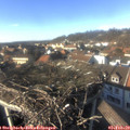 15_05-nest.jpg