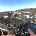 15_10-nest.jpg