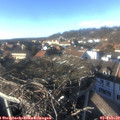 15_20-nest.jpg