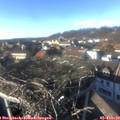 15_25-nest.jpg