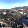 15_40-nest.jpg