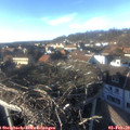 15_45-nest.jpg