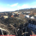 15_50-nest.jpg