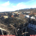 16_00-nest.jpg