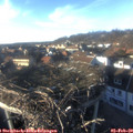 16_05-nest.jpg