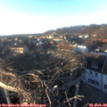 16_35-nest.jpg