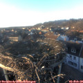 16_40-nest.jpg