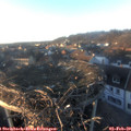16_45-nest.jpg