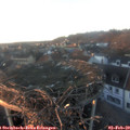 17_00-nest.jpg