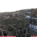 17_10-nest.jpg