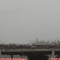 08_05-mast.jpg